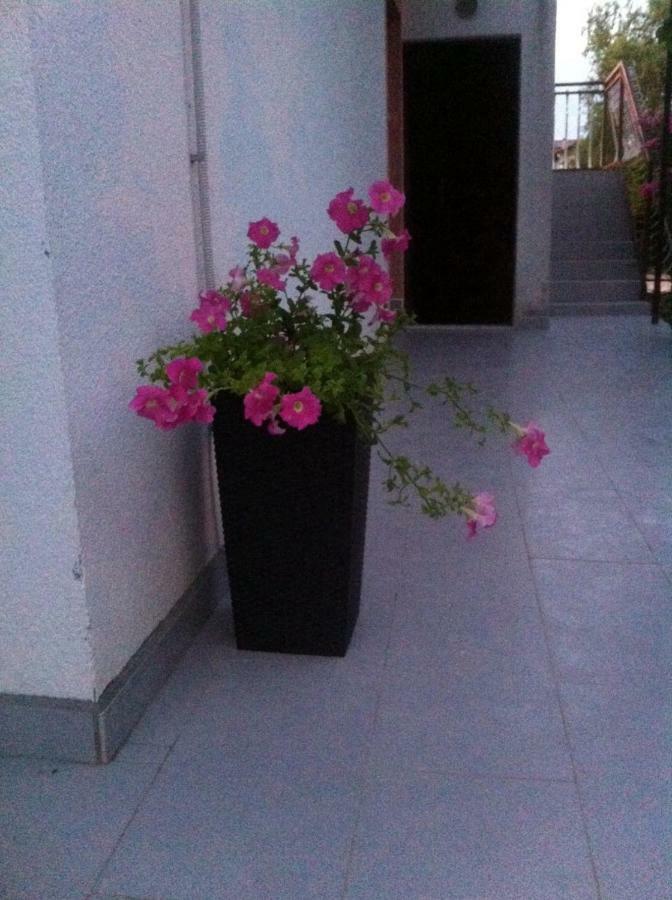 Apartmani Jadranka Водице Экстерьер фото